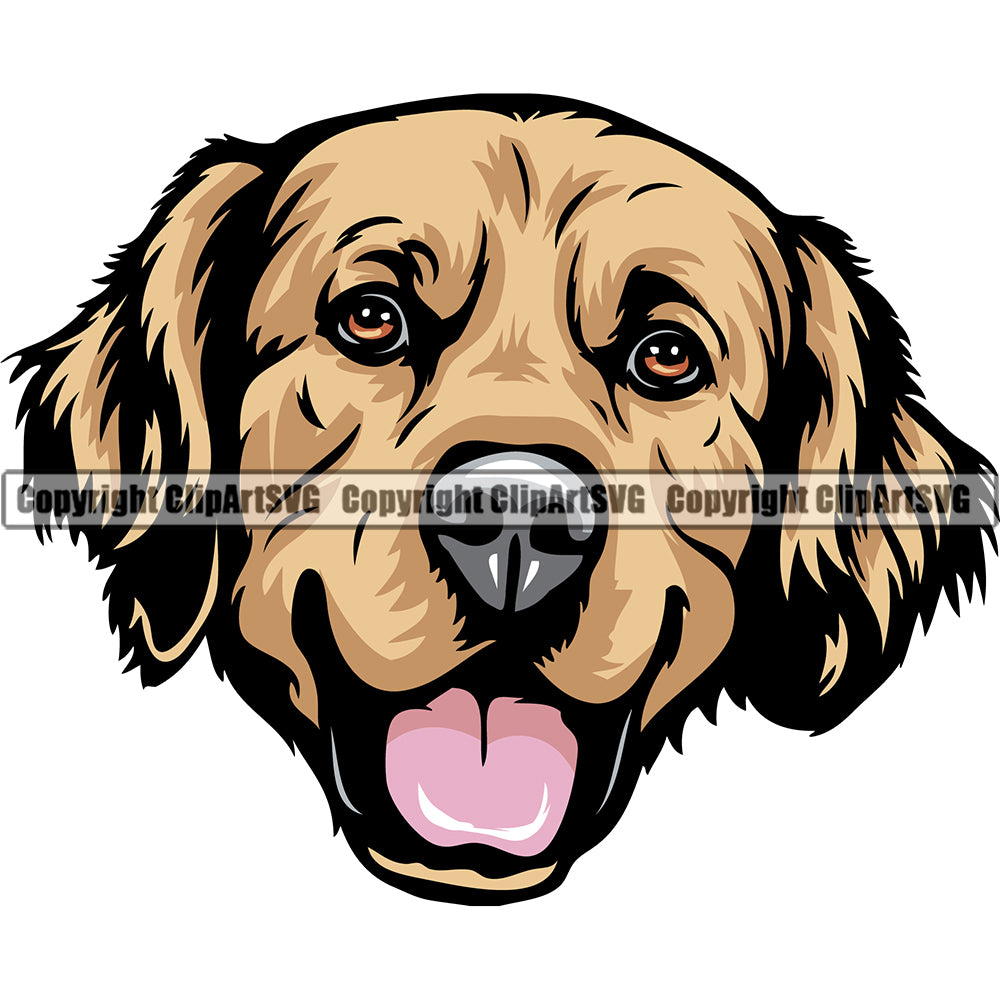 Golden Retriever Dog Breed Head Color ClipArt SVG