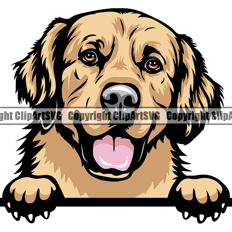 Golden Retriever Dog Breed Peeking Color ClipArt SVG