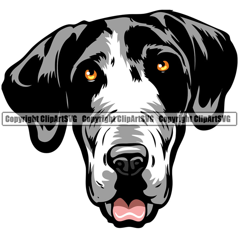 Great Dane Dog Breed Head Color ClipArt SVG