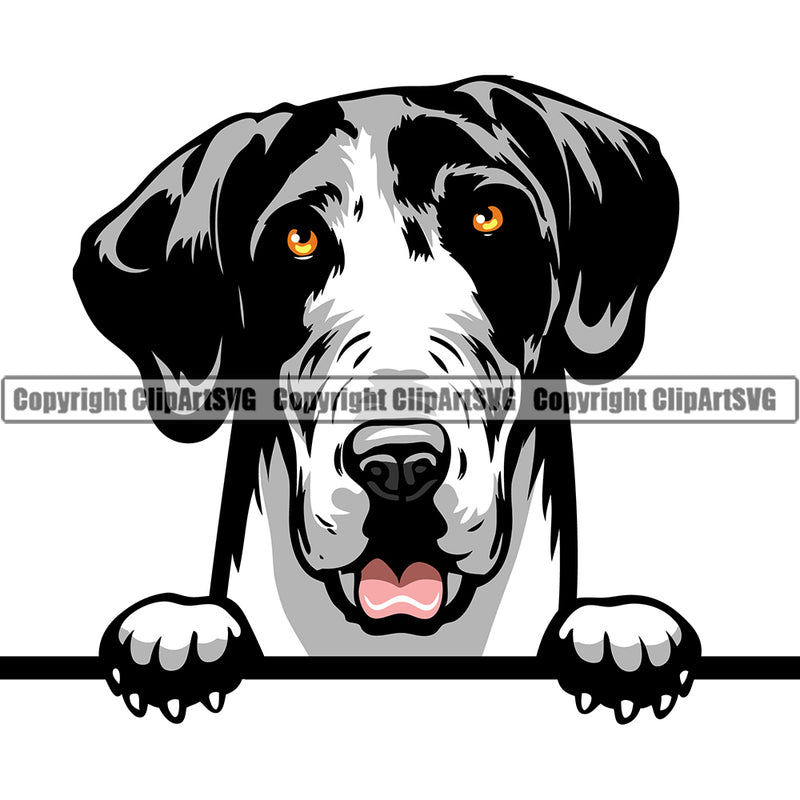 Great Dane Dog Breed Peeking Color ClipArt SVG