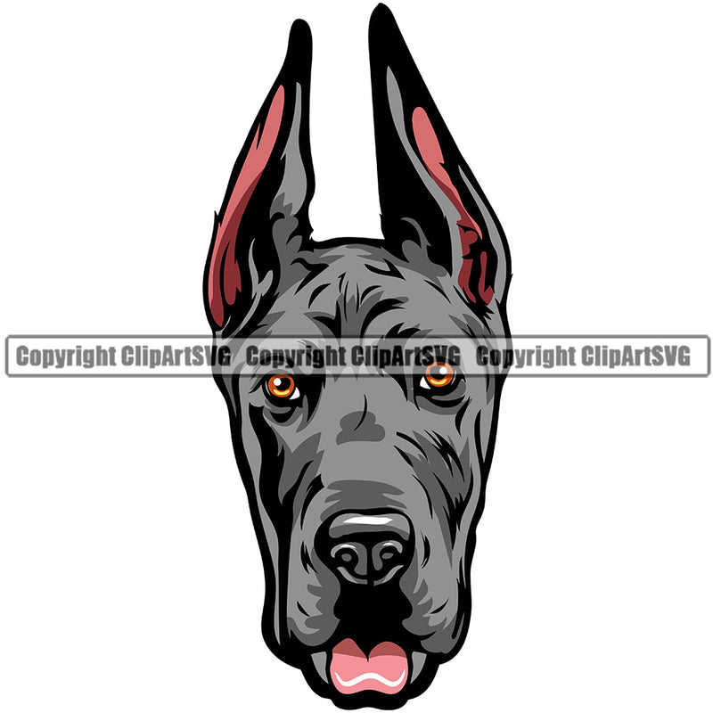 Great Dane Dog Breed Head Color ClipArt SVG