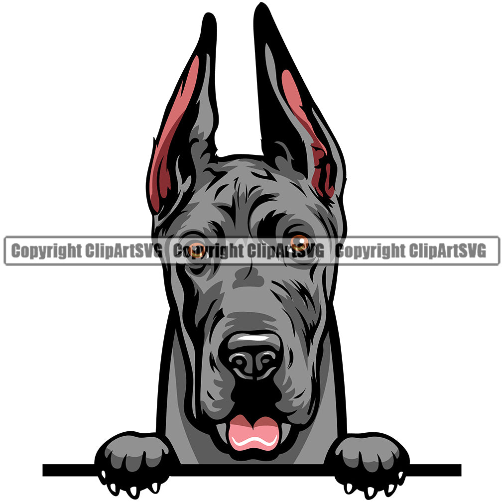 Copy of Great Dane Dog Breed Peeking Color ClipArt SVG