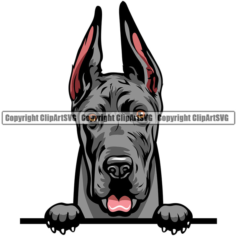 Copy of Great Dane Dog Breed Peeking Color ClipArt SVG