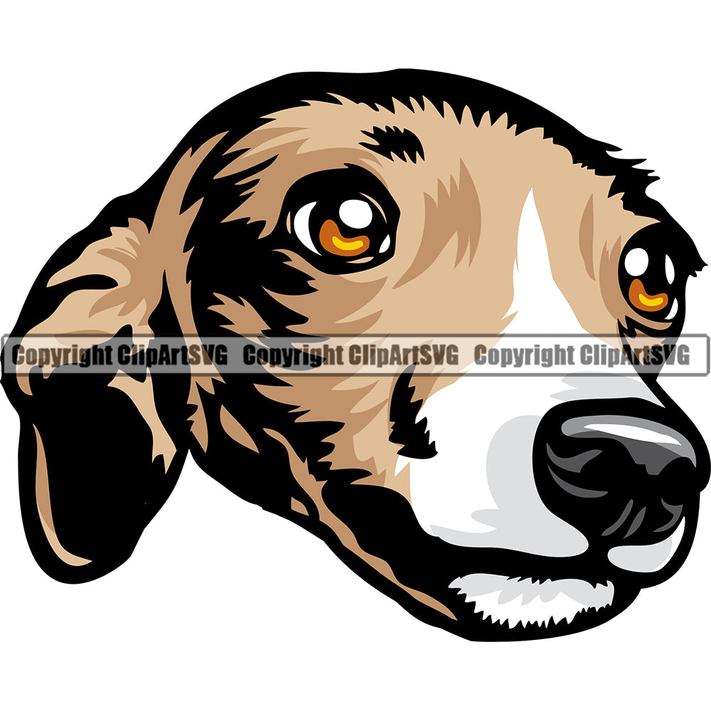 Greyhound Italian Dog Breed Head Face ClipArt SVG