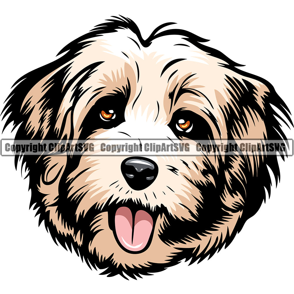 Havanese Dog Breed Head Color ClipArt SVG