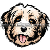 Havanese Dog Breed Head Color ClipArt SVG