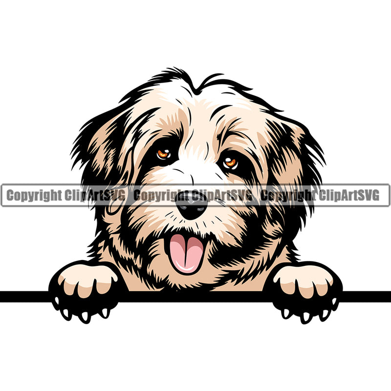 Havanese Peeking Dog Breed ClipArt SVG