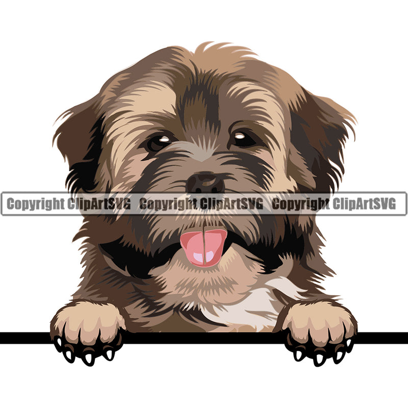Havanese Dog Breed Head Color Peeking ClipArt SVG