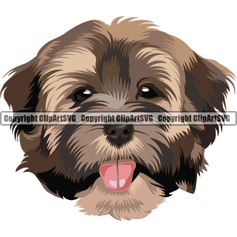 Havanese Dog Breed Head Color ClipArt SVG
