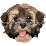 Havanese Dog Breed Head Color ClipArt SVG