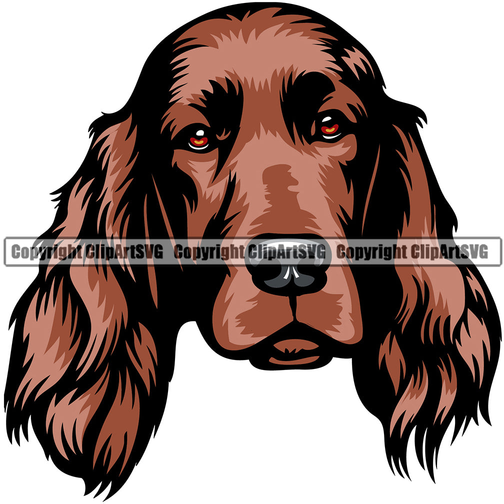 Irish Setter Dog Breed Head Color ClipArt SVG