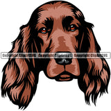 Irish Setter Dog Breed Head Color ClipArt SVG