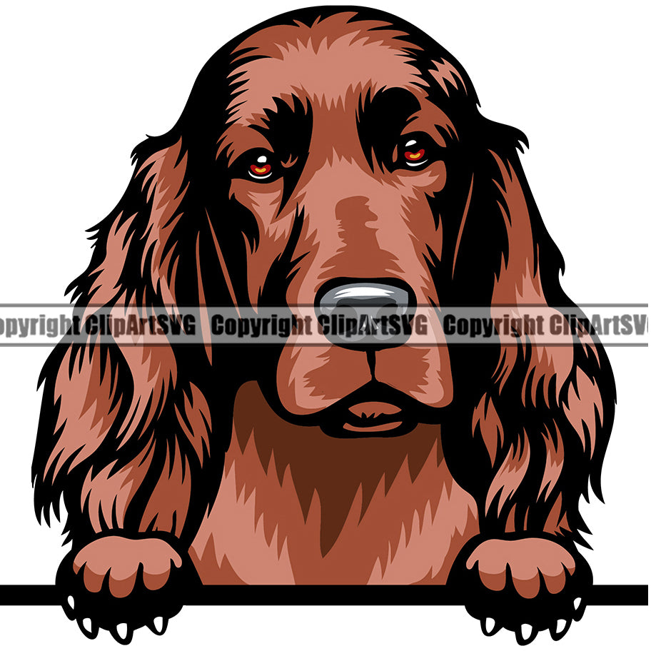 Irish Setter Dog Breed Peeking Color ClipArt SVG
