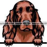 Irish Setter Dog Breed Peeking Color ClipArt SVG