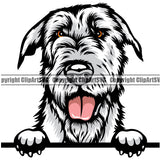 Copy of Irish Wolfhound Dog Breed Peeking Color ClipArt SVG