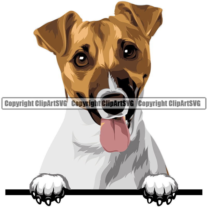 Jack Russell Terrier Dog Breed Peeking Color ClipArt SVG