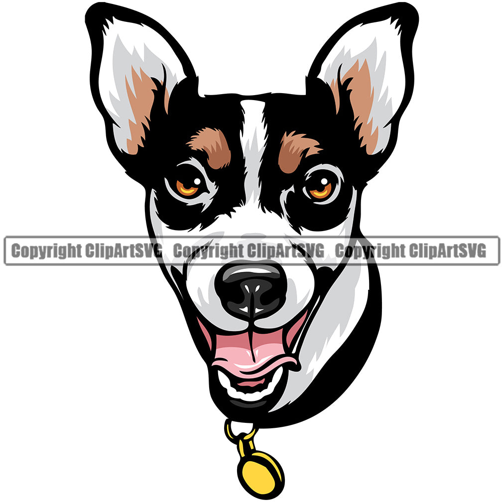 Dog Jack Russell Terrier Breed Head Color ClipArt SVG