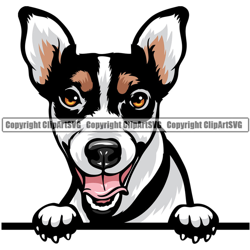 Jack Russell Terrier Dog Breed Peeking Color ClipArt SVG