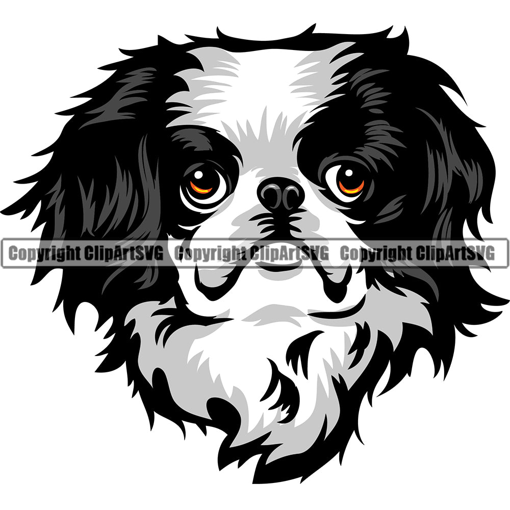 Japanese Chin Dog Breed Head Face ClipArt SVG