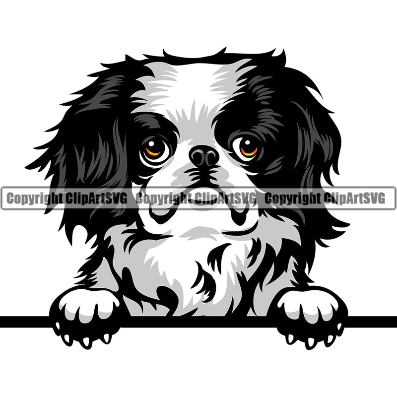 Japanese Chin Peeking Dog Breed ClipArt SVG