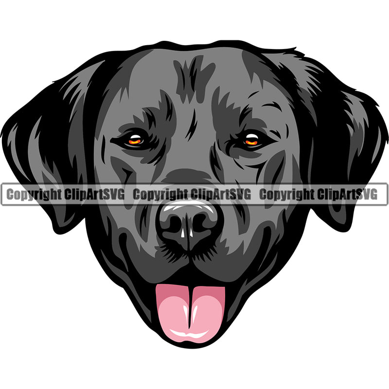 Labrador Retriever Dog Breed Head Color ClipArt SVG