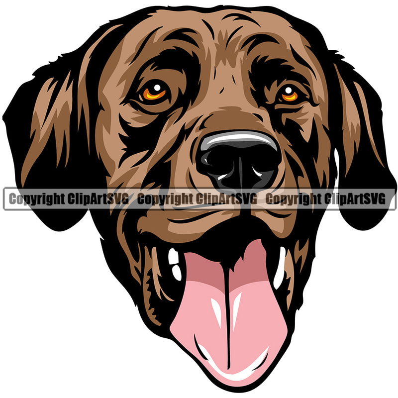 Labrador Retriever Dog Breed Head Color ClipArt SVG