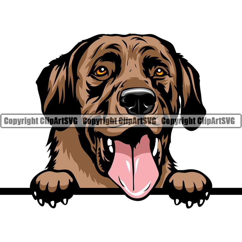 Labrador Retriever Dog Breed Peeking Color ClipArt SVG