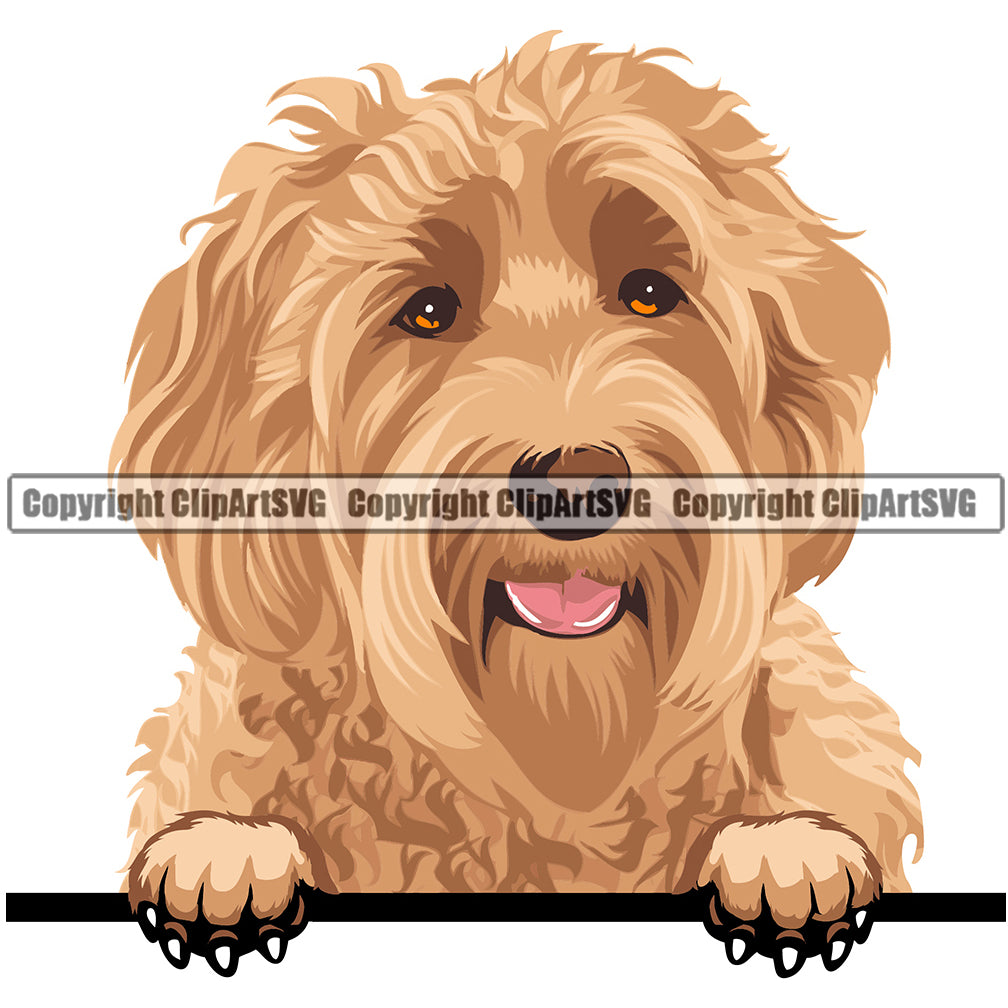 Labradoodle Dog Breed Head Face ClipArt SVG