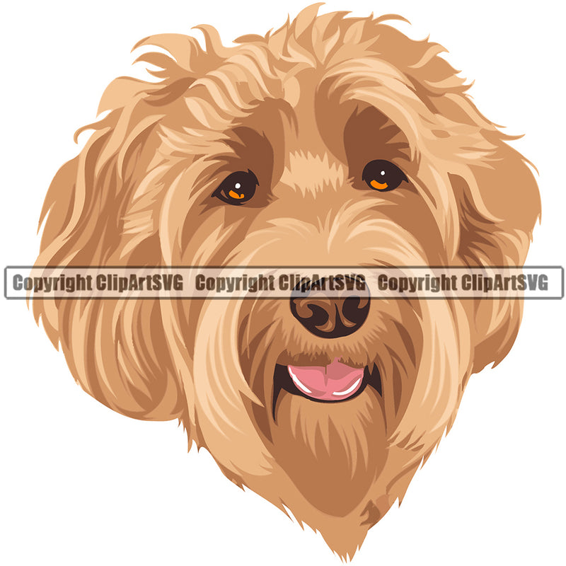 Labradoodle Dog Breed Head Color ClipArt SVG