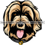 Labradoodle Dog Breed Head Color ClipArt SVG