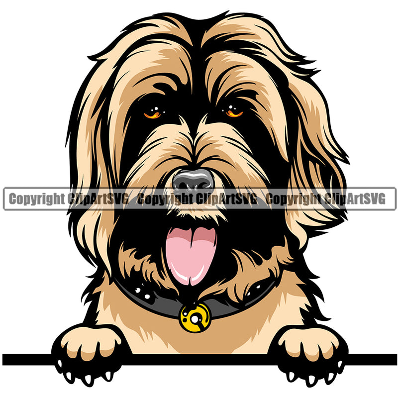 Labradoodle Peeking Dog Breed ClipArt SVG