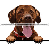 Labrador Retriever Dog Breed Peeking Color ClipArt SVG