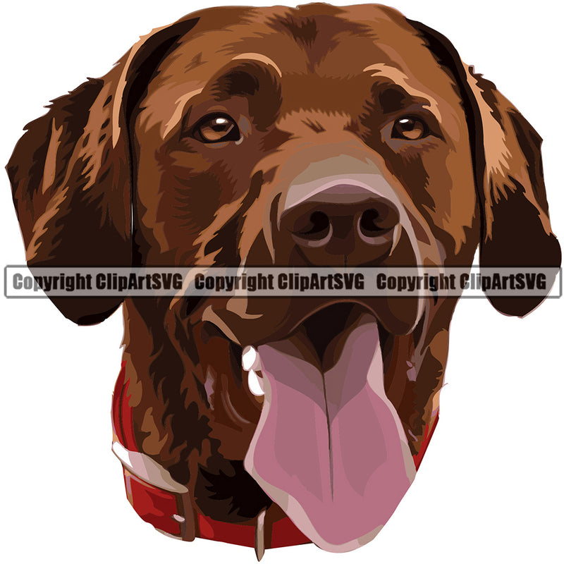 Labrador Retriever Dog Breed Head Color ClipArt SVG