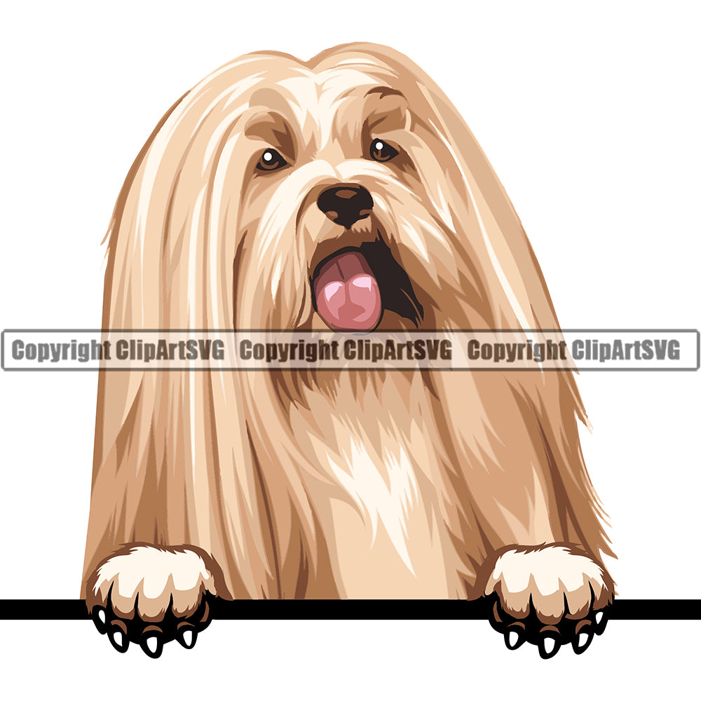 Lhasa Apso Peeking Dog Breed ClipArt SVG