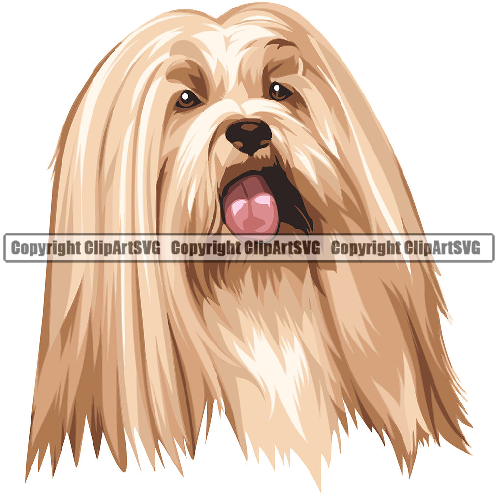Lhasa Apso Dog Breed Head Face ClipArt SVG