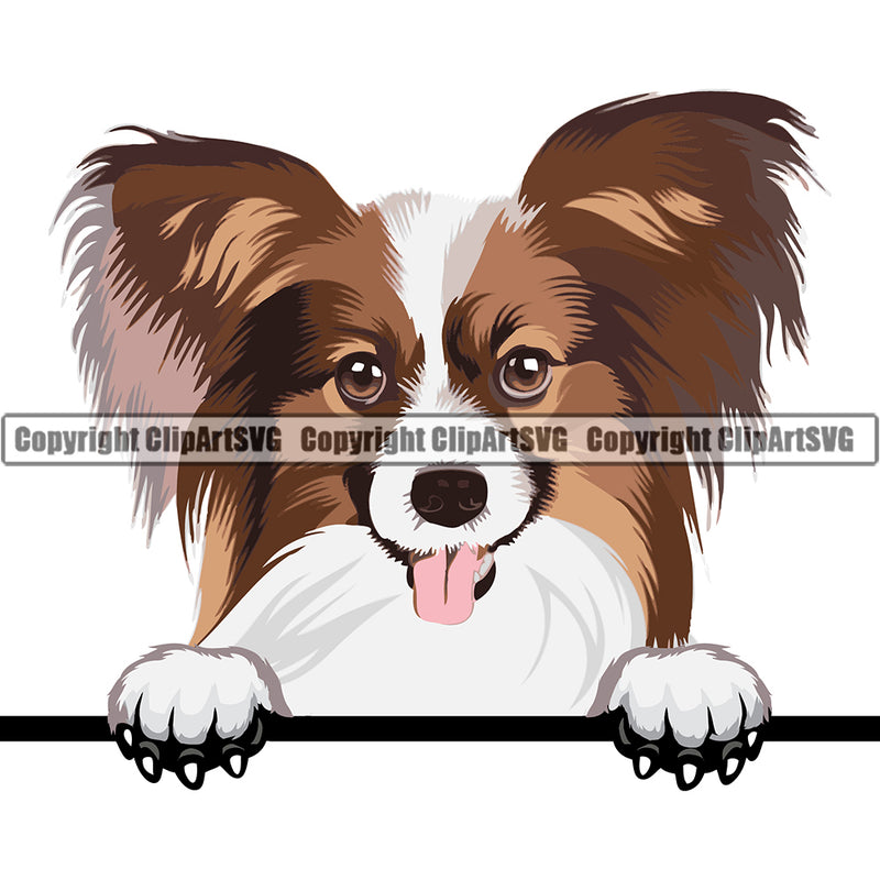 Papillon Peeking Dog Breed ClipArt SVG
