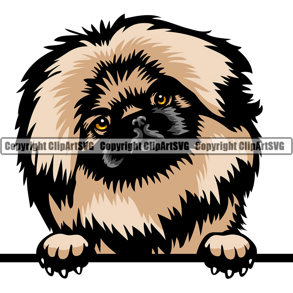 Pekingese Dog Breed Peeking Color ClipArt SVG