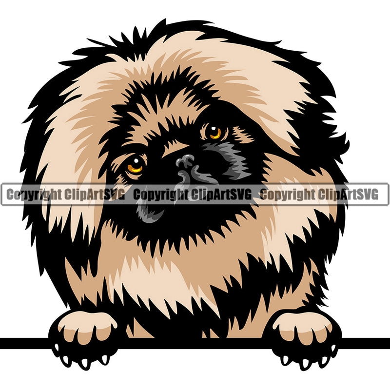 Pekingese Dog Breed Peeking Color ClipArt SVG