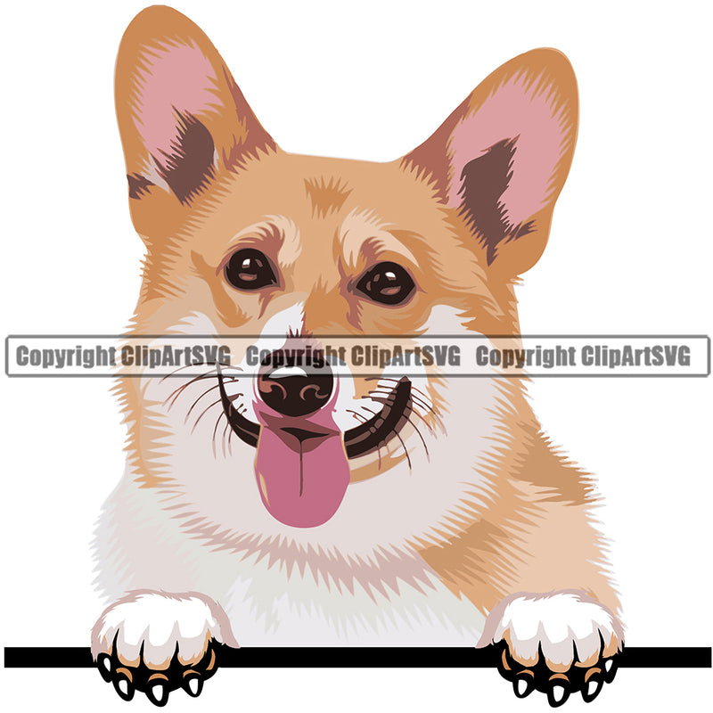 Pembroke Welsh Corgi Dog Breed Peeking Color ClipArt SVG
