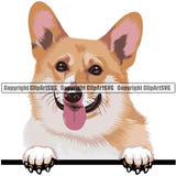 Pembroke Welsh Corgi Dog Breed Peeking Color ClipArt SVG