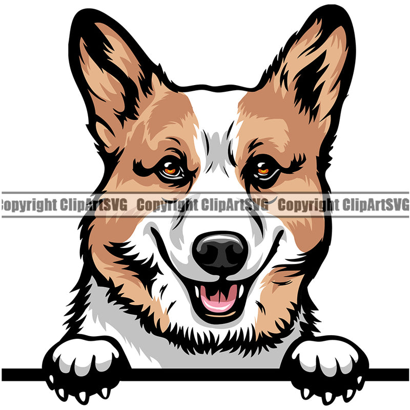 Pembroke Welsh Corgi Dog Breed Peeking Color ClipArt SVG