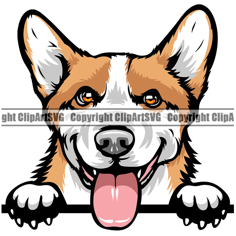 Pembroke Welsh Corgi Dog Breed Peeking Color ClipArt SVG