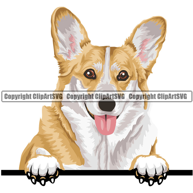 Pembroke Welsh Corgi Dog Breed Peeking Color ClipArt SVG