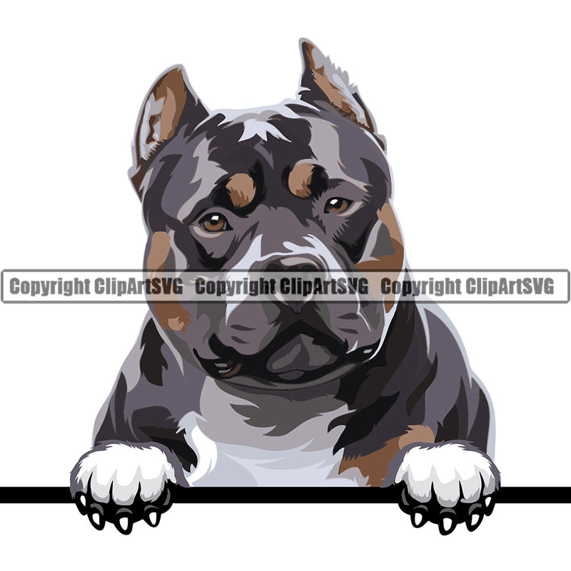Pit Bull Peeking Dog Breed ClipArt SVG