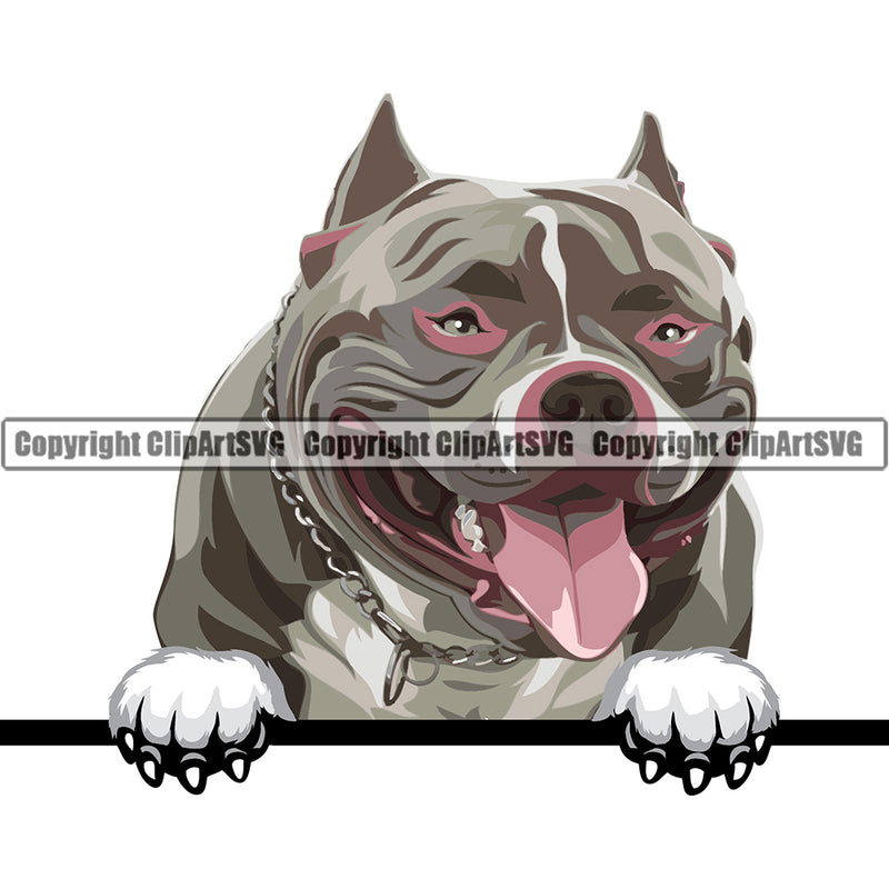 Pit Bull Peeking Dog Breed ClipArt SVG