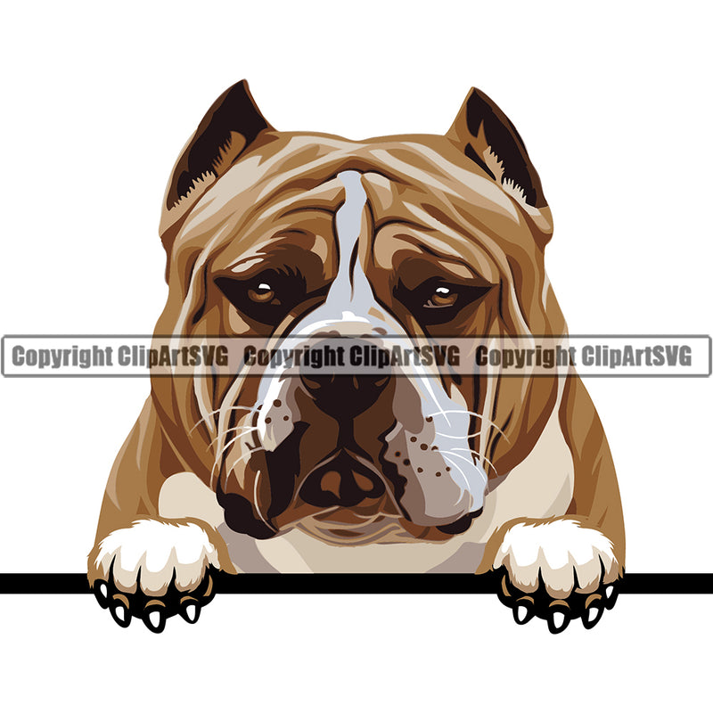 Pit Bull Peeking Dog Breed ClipArt SVG