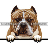 Pit Bull Peeking Dog Breed ClipArt SVG