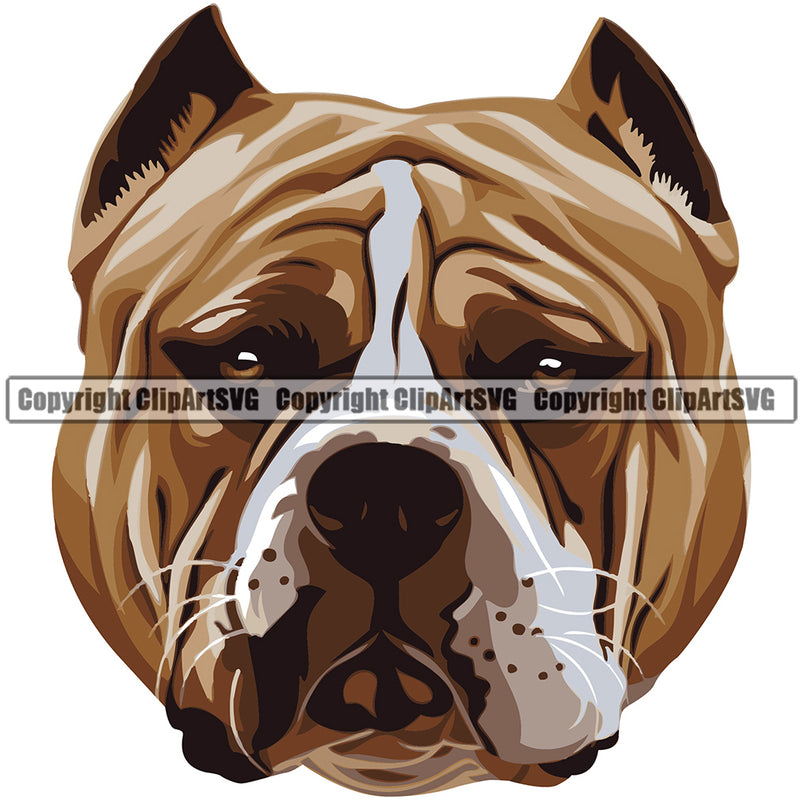 Pit Bull Dog Breed Head Face ClipArt SVG