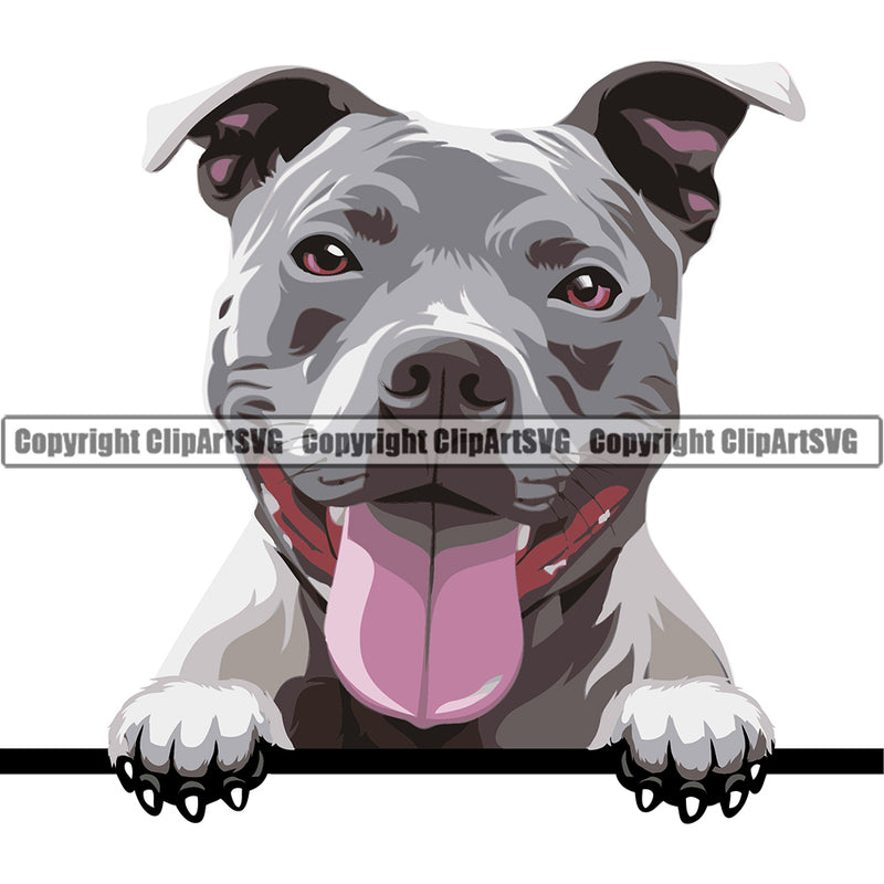 Pit Bull Peeking Dog Breed ClipArt SVG
