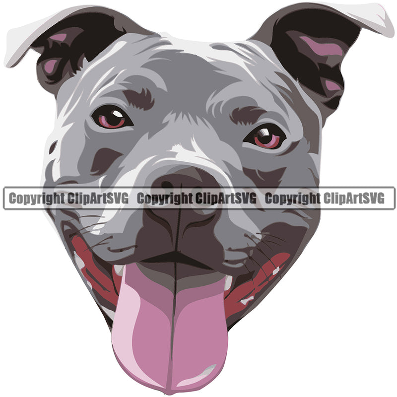 Pit Bull Dog Breed Head Face ClipArt SVG